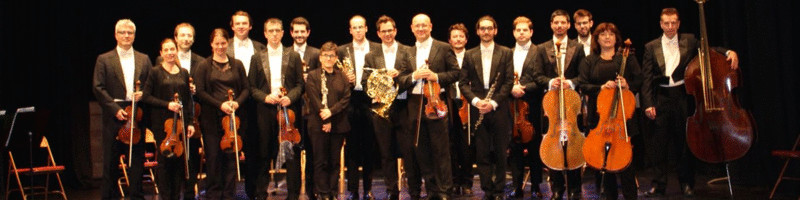 ARTS SYMPHONY ENSEMBLE